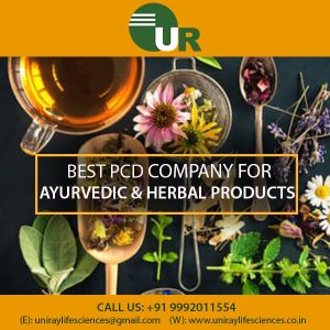 Ayurvedic PCD Franchise in Gurgaon