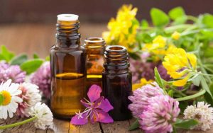 Ayurvedic Pharma Franchise In Arunachal Pradesh