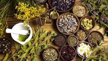 Ayurvedic Medicine Manufacturer In Bangalor