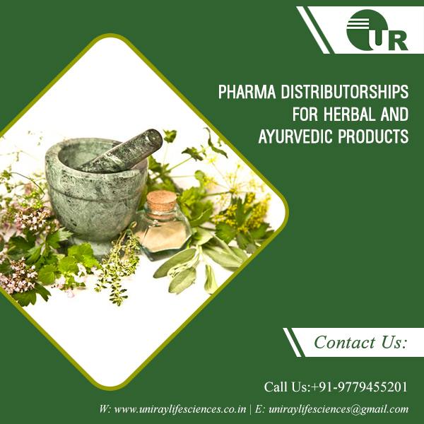 Ayurvedic Hand Wash Manufacturers In Chandigarh