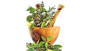 Ayurvedic Medicine Manufacturers in Varanasi