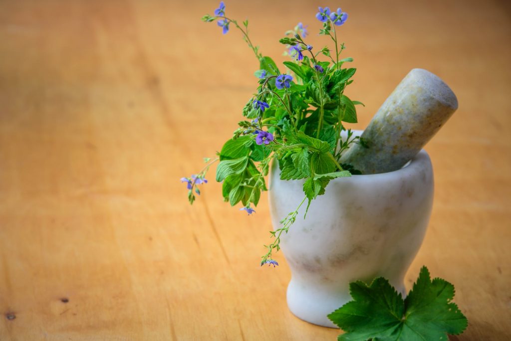 Ayurvedic PCD Company In Meerut