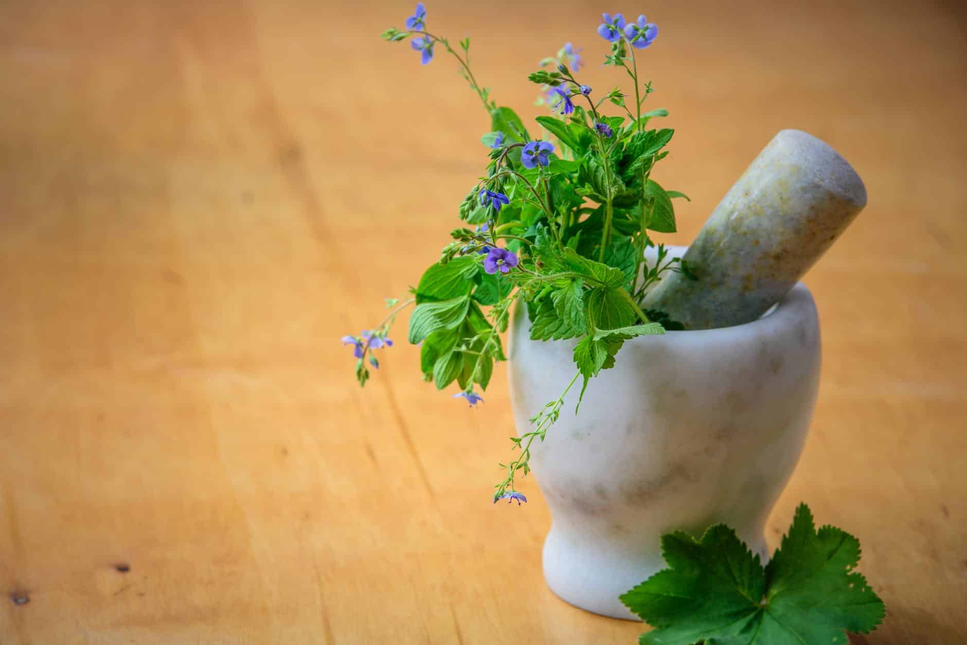 Ayurvedic PCD Company In Meerut