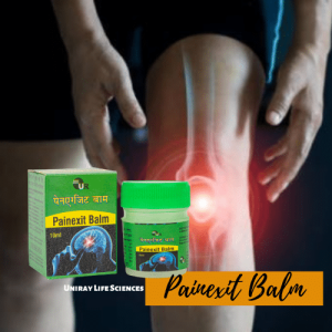 Ayurvedic Pain Balm Manufacturer in India