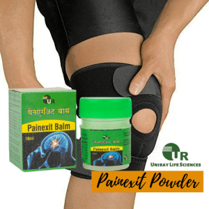 Ayurvedic Pain Balm Manufacturer in India