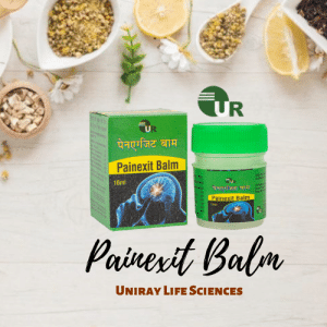 Ayurvedic Pain Balm Manufacturer in India
