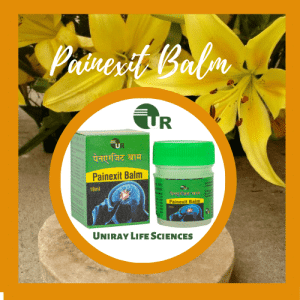 Ayurvedic Pain Balm Manufacturer in India