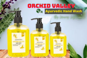Ayurvedic Hand Wash Manufacturer In India