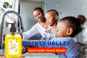 Ayurvedic Hand Wash Manufacturer In India
