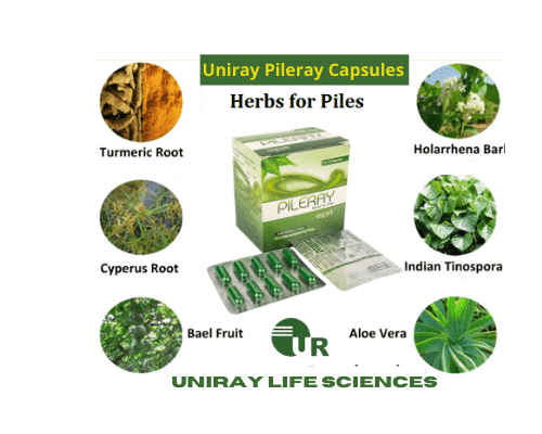Ayurvedic treatment for piles
