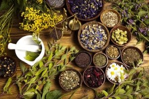 Ayurvedic PCD Company in Noida