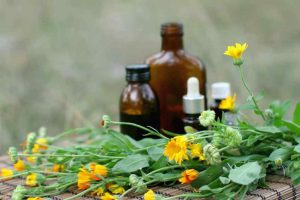 Ayurvedic Medicine Manufacturers in Sikkim