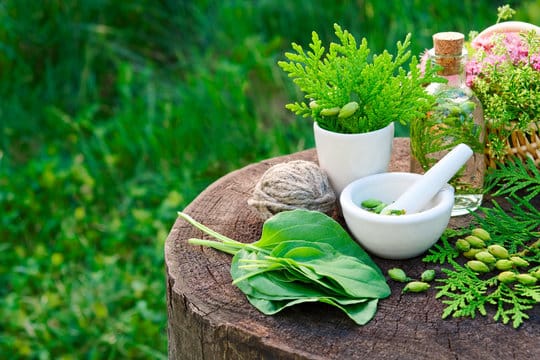 Ayurvedic PCD Company In Gwalior