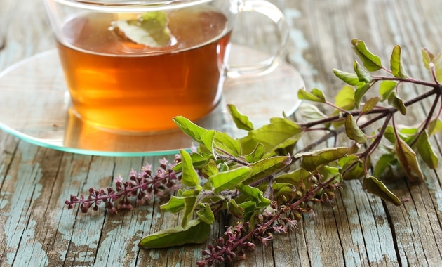 Ark TULSI Prices Uses And Benefits