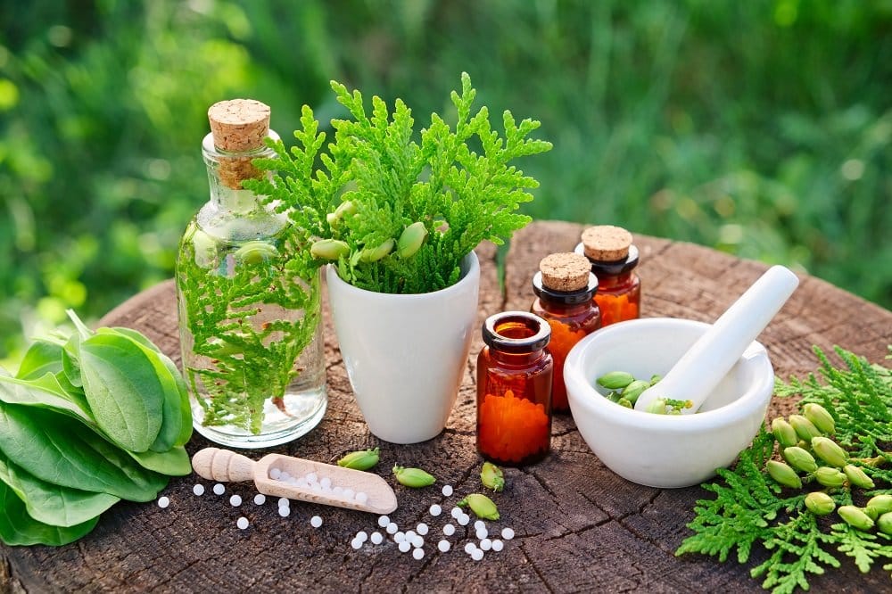 Top 10 Ayurvedic Distributors in India
