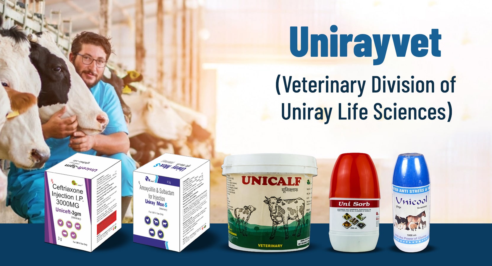 Unirayvet website