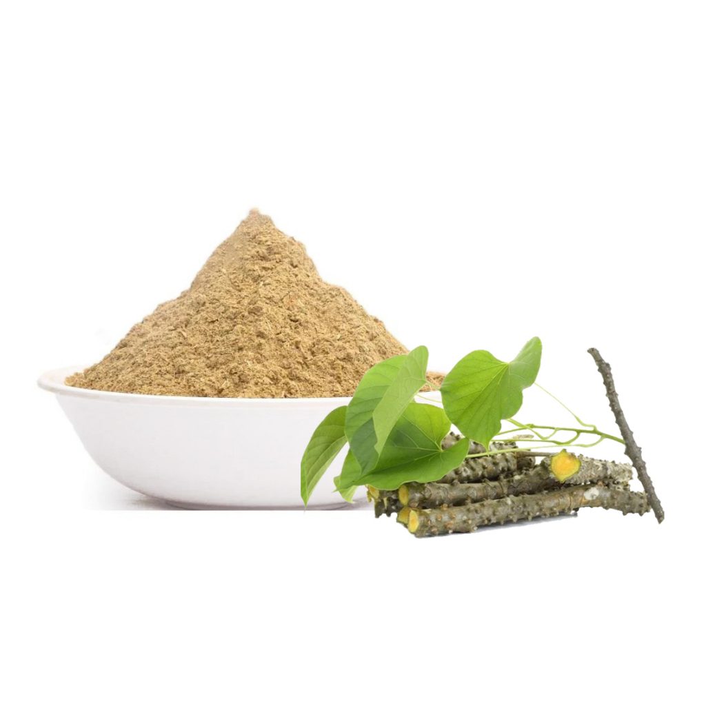 Giloy Powder Price In India