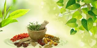 Ayurvedic PCD Company In Nainital