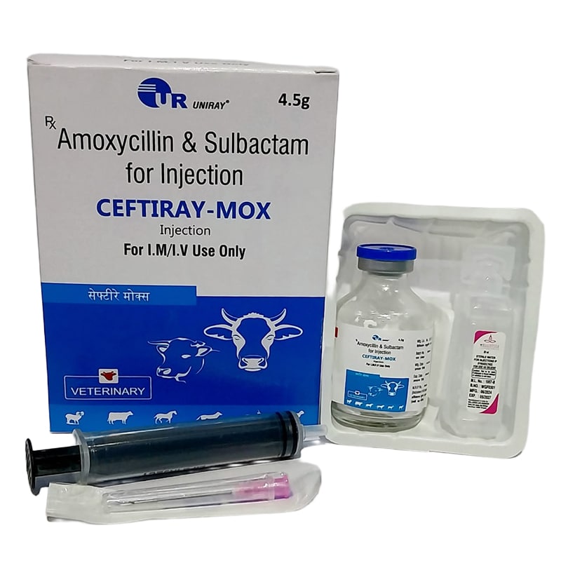 CEFTIRAY MOX INJECTION 1