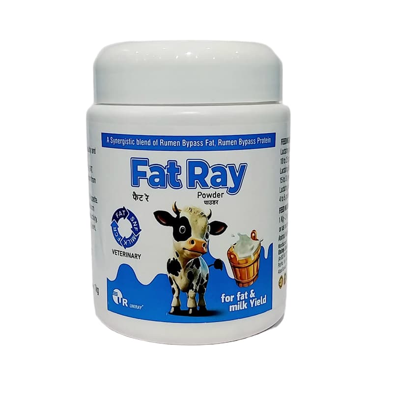 FATRAY POWDER 1