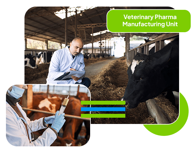 Manufacturing Veterinary